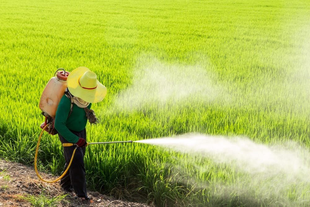 How Pesticides are Wrecking Your Brain about false