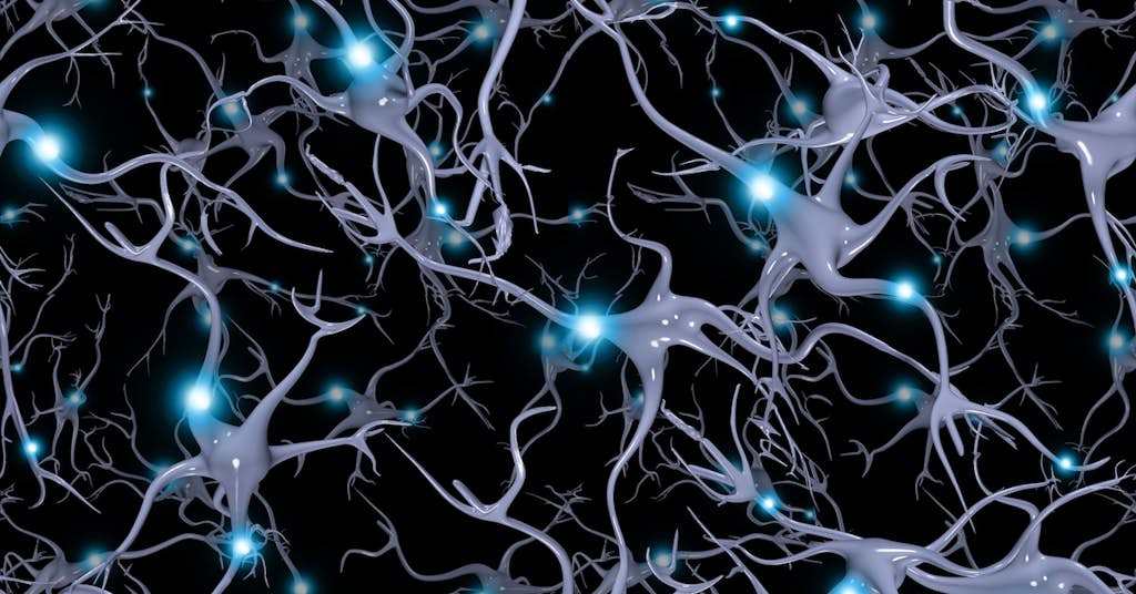 These Brain Cells - Not Neurons -- Could Hold the Key to Alzheimer's Breakthrough about false