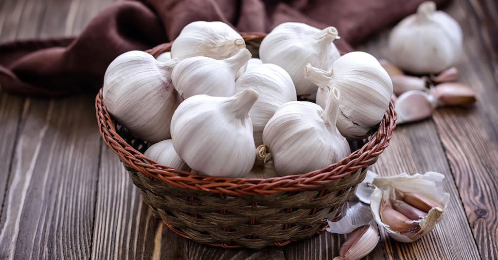 Garlic May be the New “Must-Have” for the Brain about false