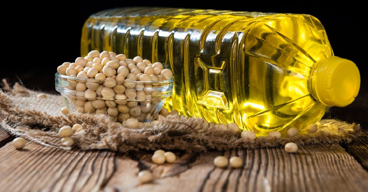 This Cheap Vegetable Oil May Harm Your Brain about undefined