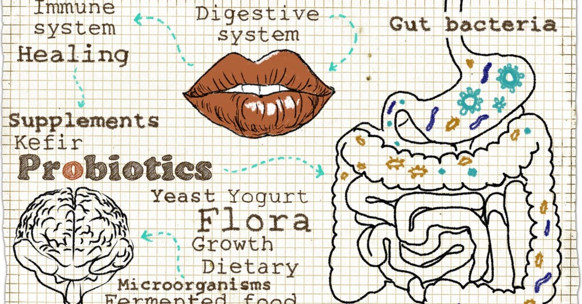 To Support the Brain - Feed the Gut about undefined