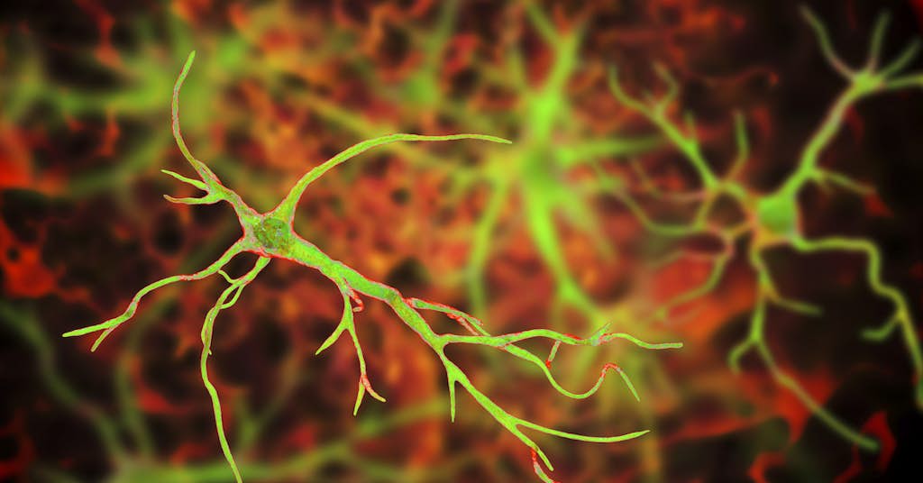 Without These “Memory-Making” Brain Cells,  Your Memory Quickly Fails about false