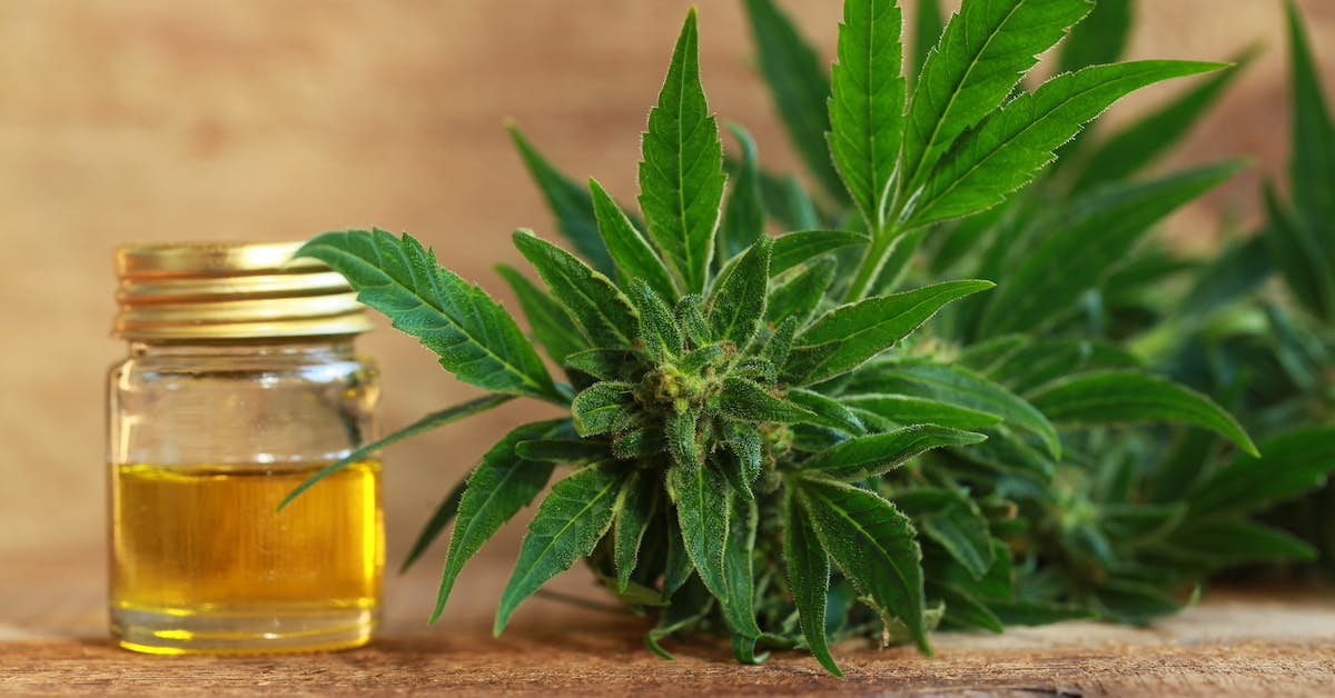Does CBD Offer New Hope for Brain Health? about undefined