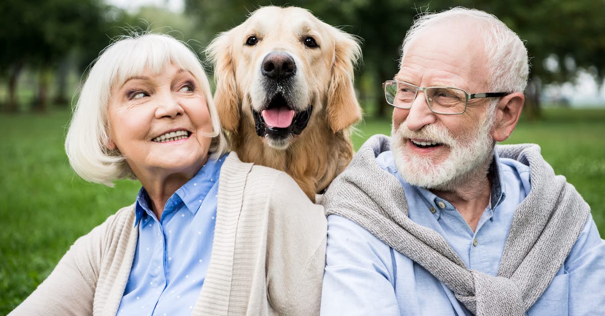 Seniors Who Own a Pet Retain Their Brainpower for Longer about undefined