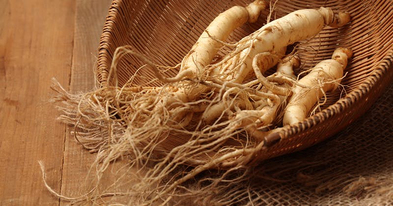 Regrow Your Brain Cells With This Ancient Red Root about false