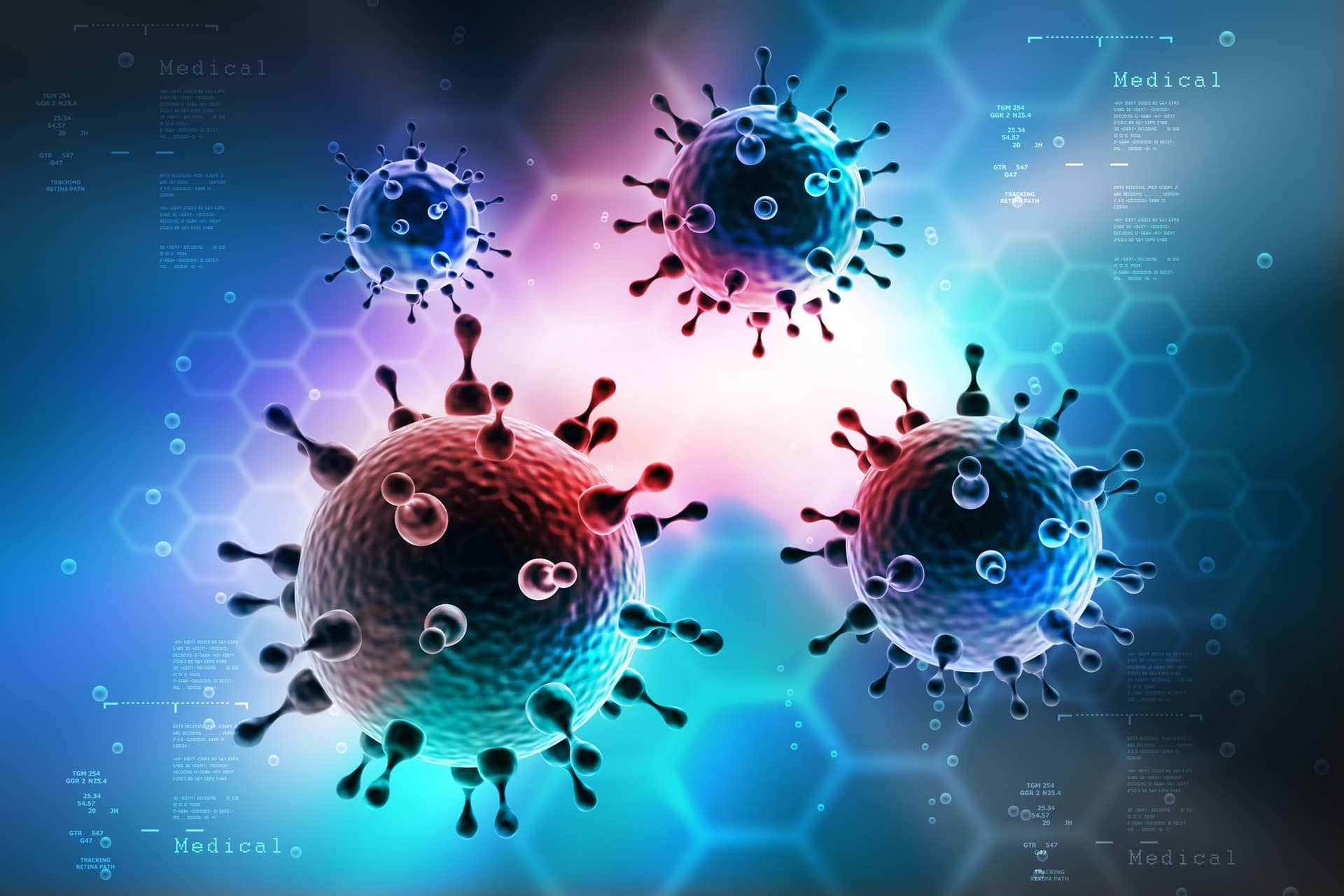 Healthy Gut Microbes May Be Essential to Brain Health about undefined