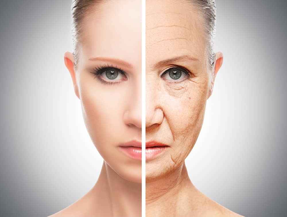 Remarkable New Evidence That Supplements Can Stop Aging about undefined