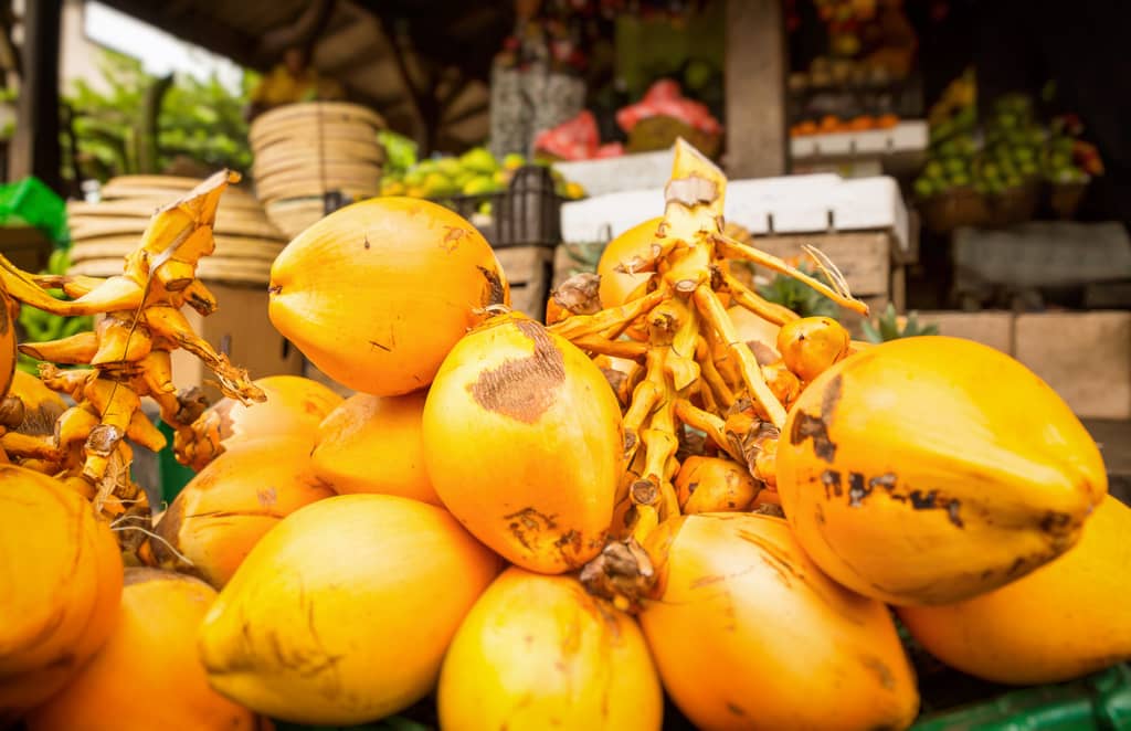 Reap The Cognitive Benefits of Ketones Without The Full Ketogenic Diet about false