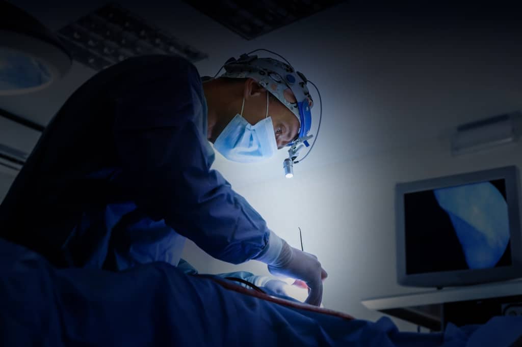 Could We Treat Alzheimer's Disease With a Flashlight? about false