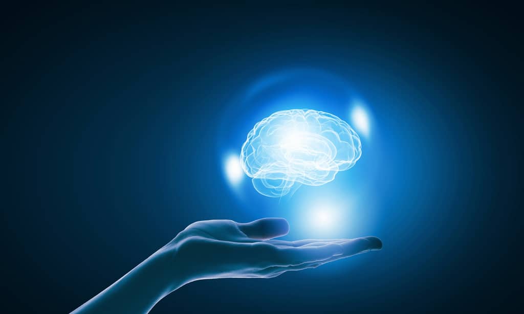 How to Keep Your Brain and Memory From Shrinking about false