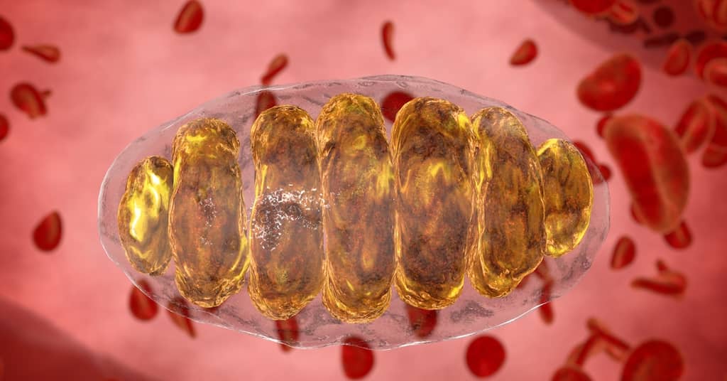 One Reason More Women Than Men Get Alzheimer’s – And a Solution about false