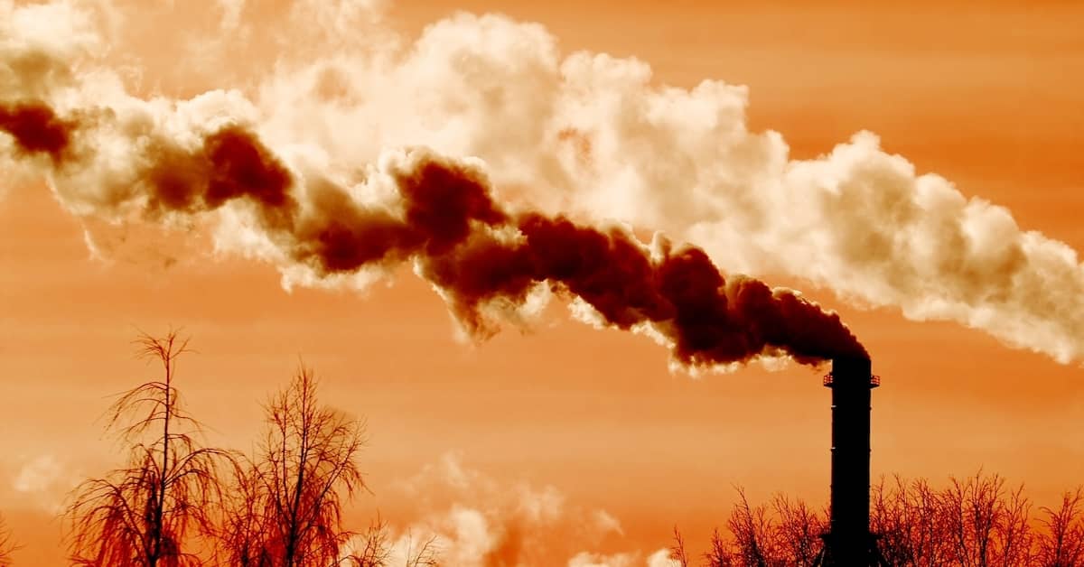 First These Toxins Come for your Sense of Smell, Then They Come After Your Brain about undefined