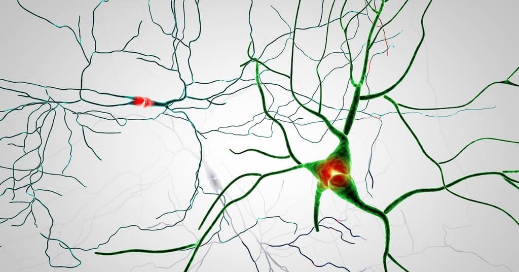 Rewire Your Brain to Change Bad Habits about false