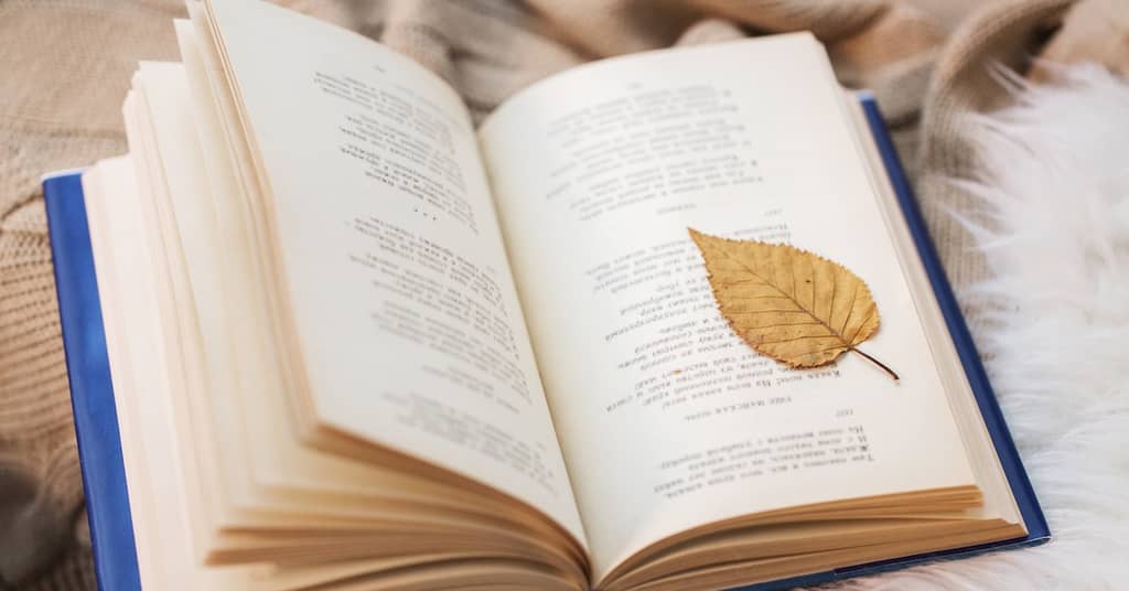 More Proof that You Have to Use Your Brain if You Want to Keep It about false