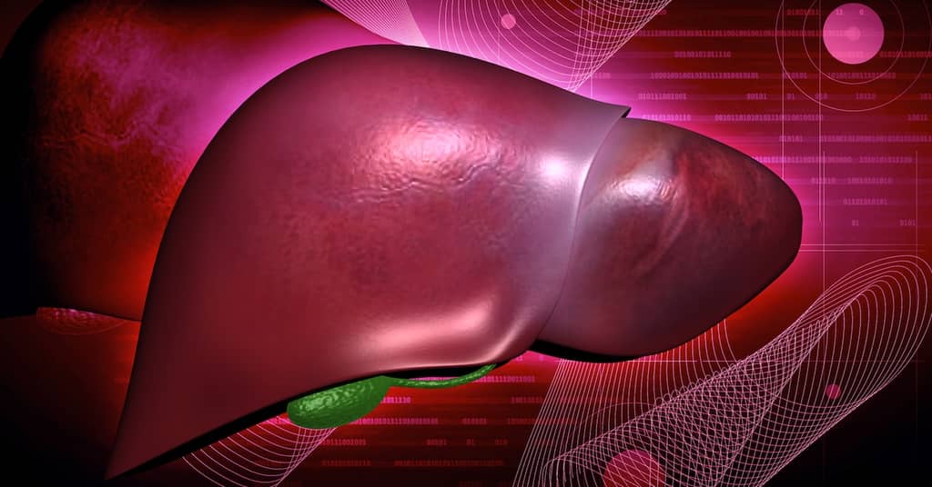 To Understand Alzheimer's You Need to Look Outside the Brain about false