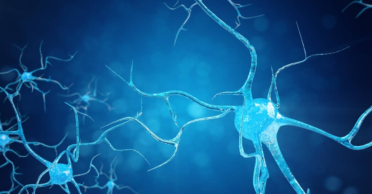 The Brain Keeps Growing New Memory Cells Even in our Sunset Years about undefined