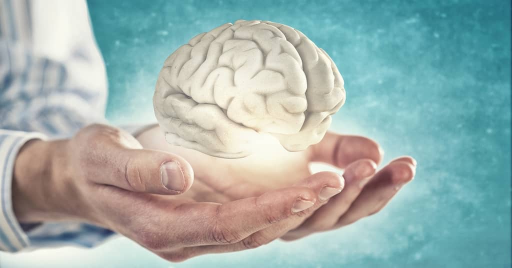 How Do We Know Somebody Is Truly Brain Dead? about false