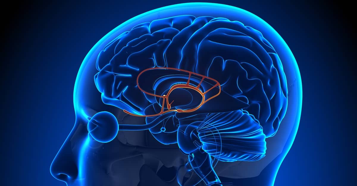 It's Not Alzheimer's - It's a New Form of Dementia about undefined