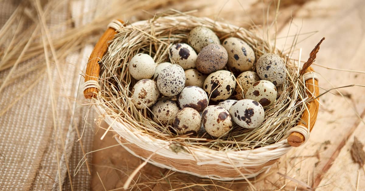 This Nutrient is Absolutely Essential to Brain Health – And Most People are Deficient about undefined