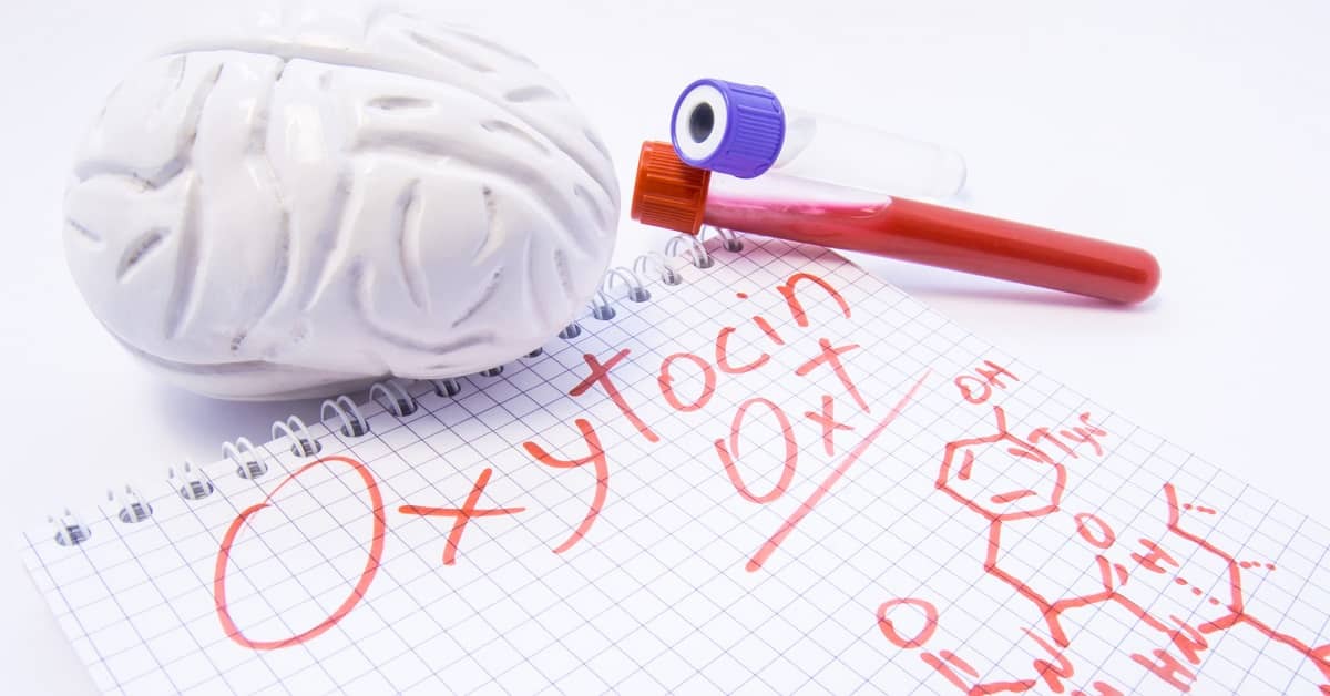 Falling in Love May Reverse Alzheimer's about undefined