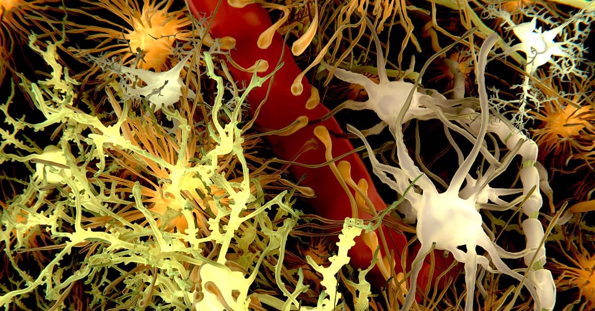 Why the Blood-Brain Barrier May Hold the Key to Preventing & Diagnosing Alzheimer's about undefined