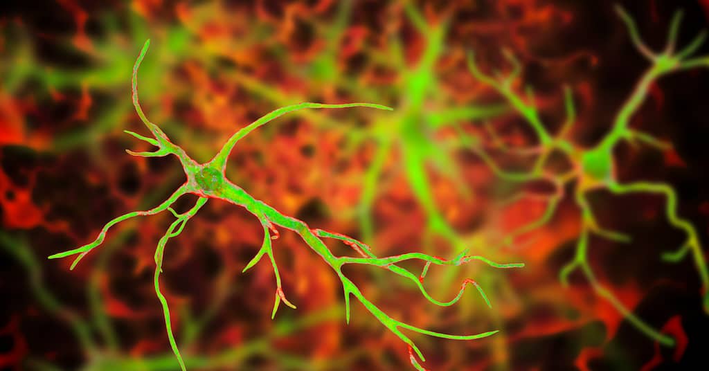 Without These “Memory-Making” Brain Cells,
Your Memory Quickly Fails about false