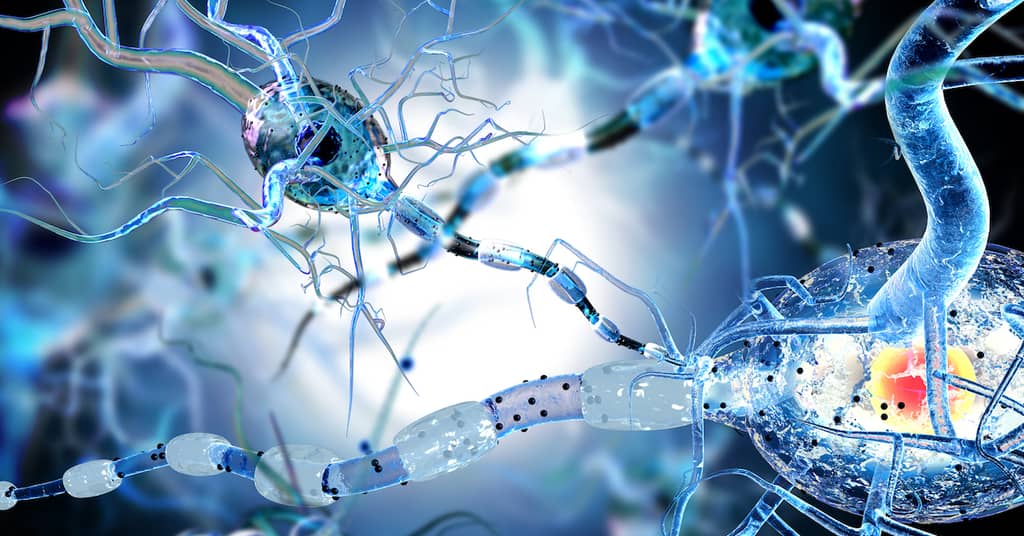 How One Little-Known Neurological Illness is Robbing People of Body and Mind (Plus, what to do about it!) about false