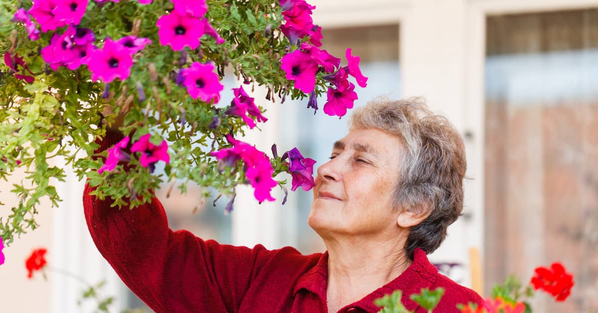 Scientists Reveal Surprising Link Between Odor Detection and Memory about undefined