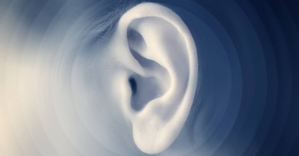 Tunes Stuck in a Continuous Loop in Your Head Can Help Preserve Memories about undefined