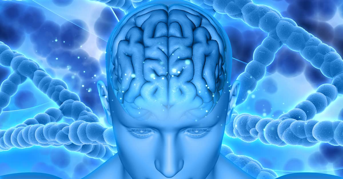 Is a Powerful Treatment for Cancer Hiding in Your Brain? about undefined