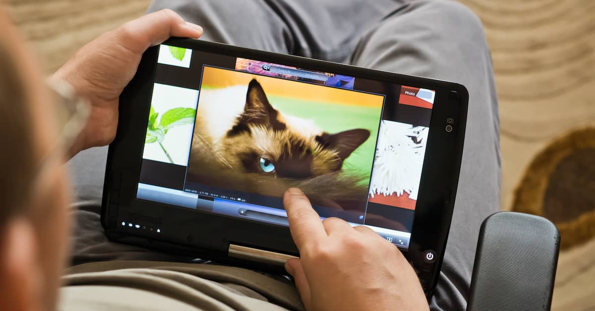 This Five-Minute Animal Recognition Game Can Warn of Alzheimer’s Years in Advance about undefined