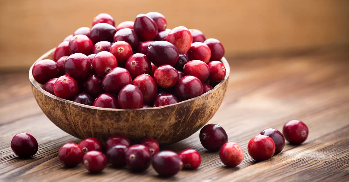 Tiny Berry Reduces Dementia Risk about undefined