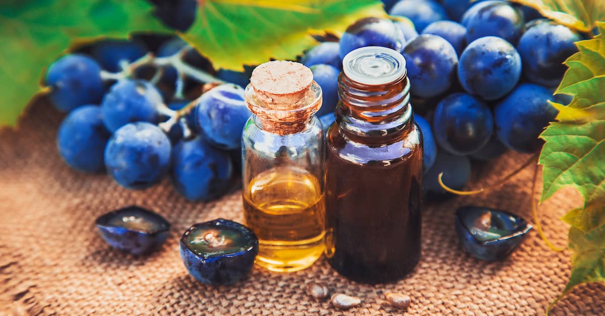 The Immune-Boosting Supplement That Sharpens Memory (And Much More…) about undefined