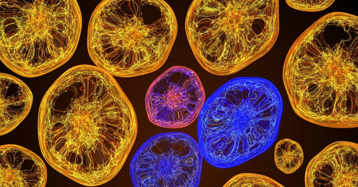 New Treatment For Alzheimer’s Disease? about undefined