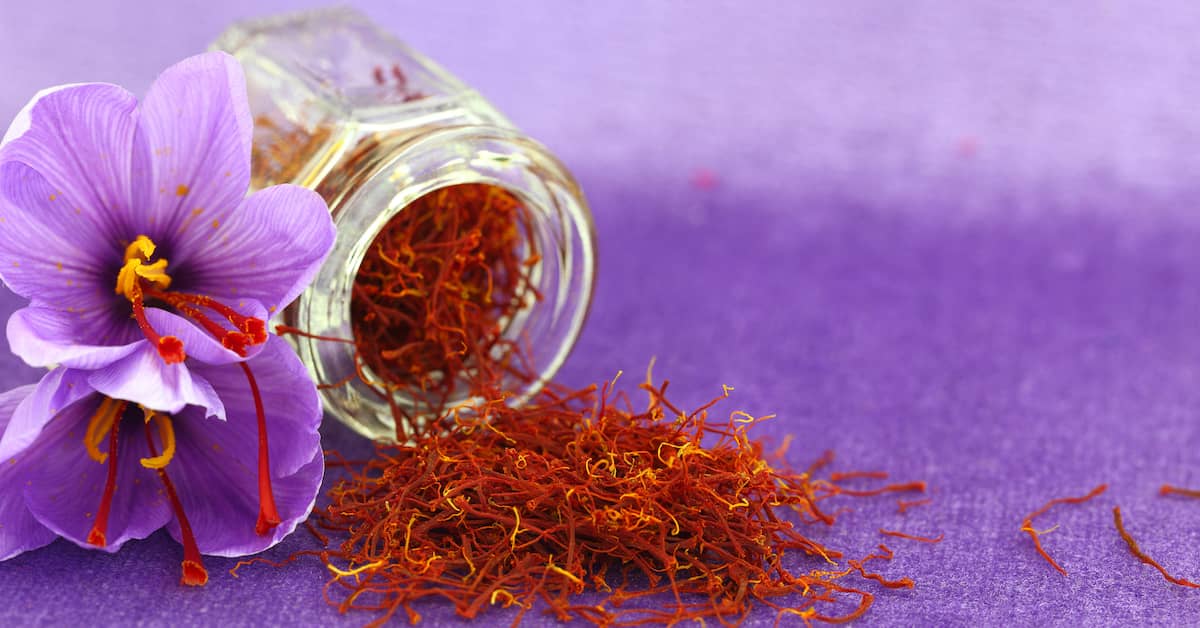 Sharpen Your Memory With This Spice about undefined