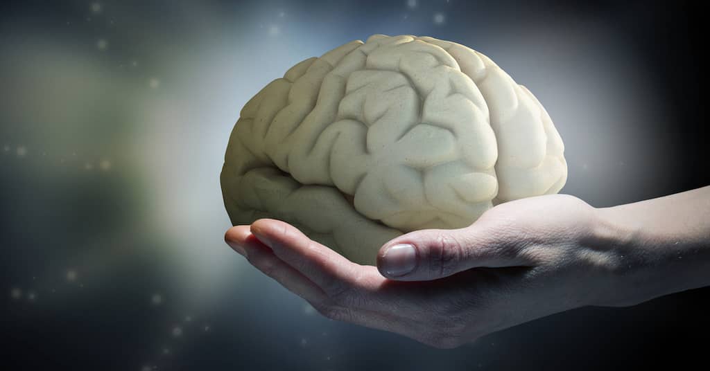 Discovered: New Secret To Maintaining A Strong Memory For Life about false