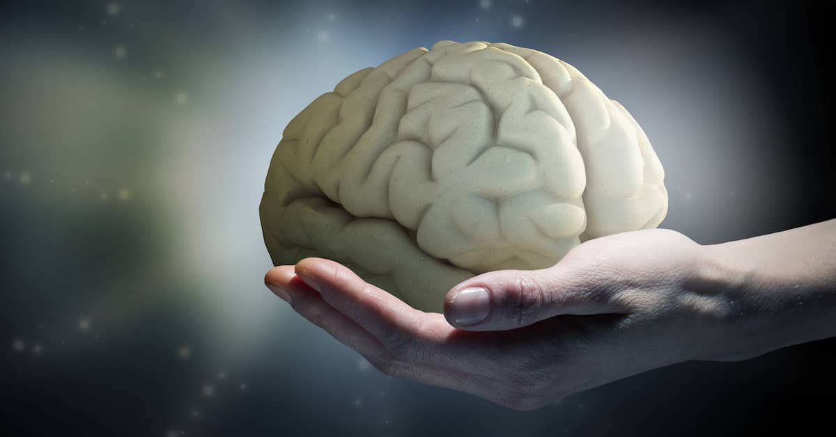 Discovered: New Secret To Maintaining A Strong Memory For Life about undefined