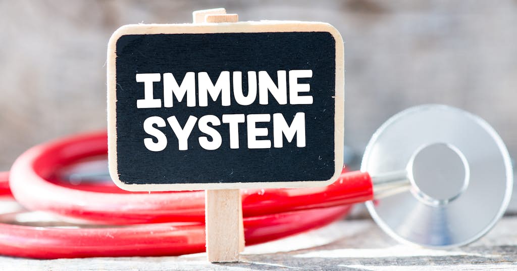Can Your Immune System Heal Alzheimer’s Disease? about false