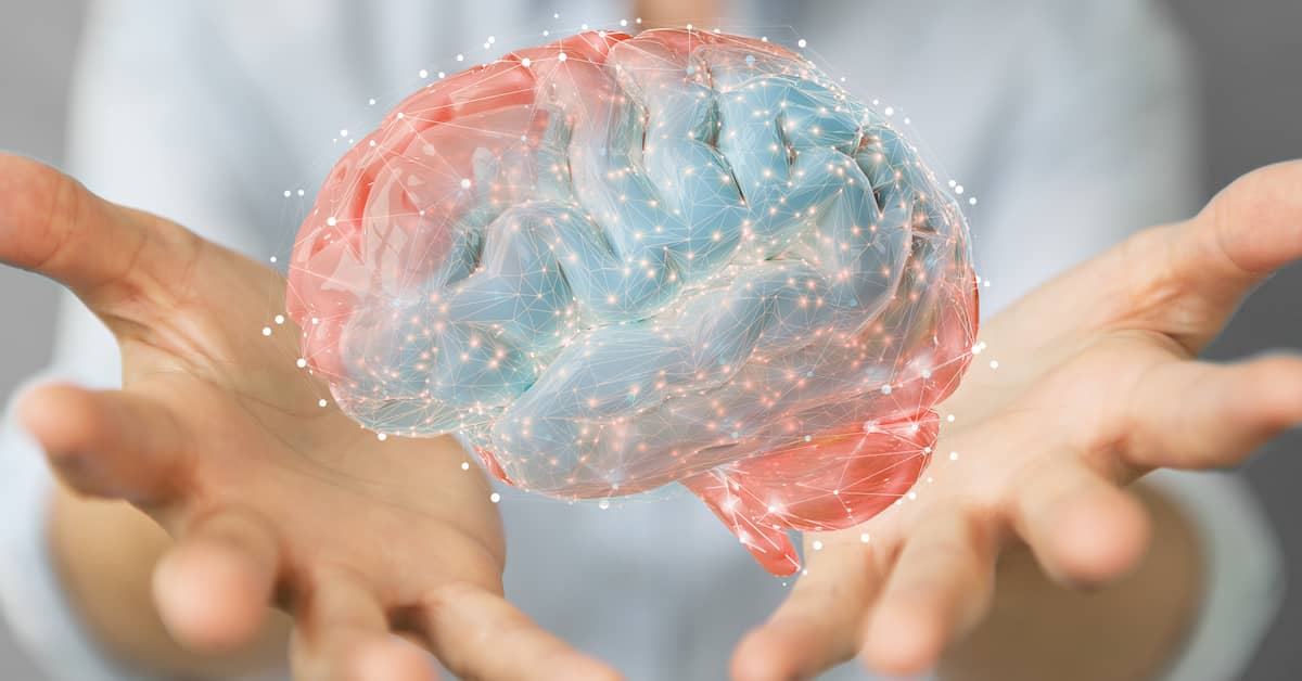 Is Your Brain More Vulnerable To Alzheimer’s? about undefined