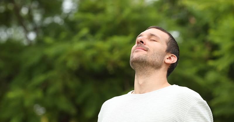 Breathe New Life Into An Aging Memory about undefined