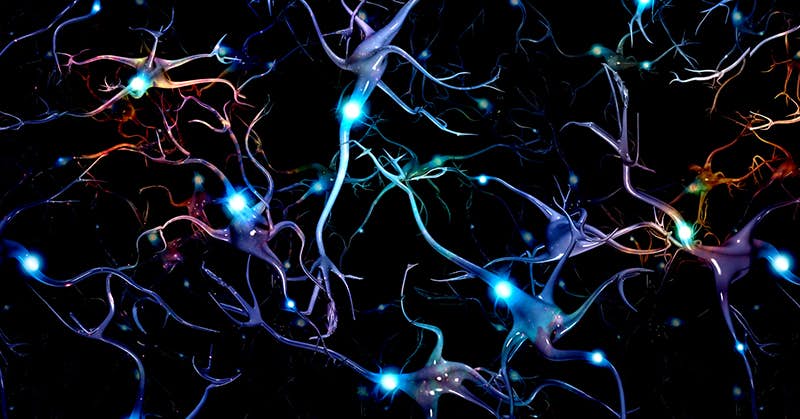 Forty-Year-Old Mystery Solved As To How Brain Cells Die in Alzheimer's about false