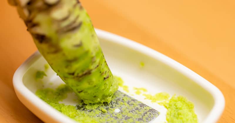 Sushi’s Secret Brain Booster about undefined