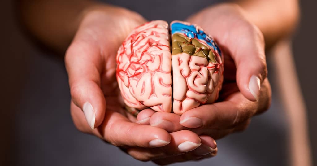 This Part of Your Body May be the Very Heart of the Aging Process about false